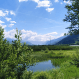 Marais d'Ardon et Chamoson